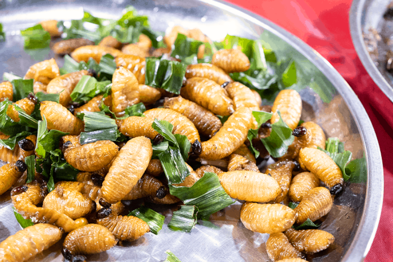 Coconut worms - A strange and unique dish that gourmets must try